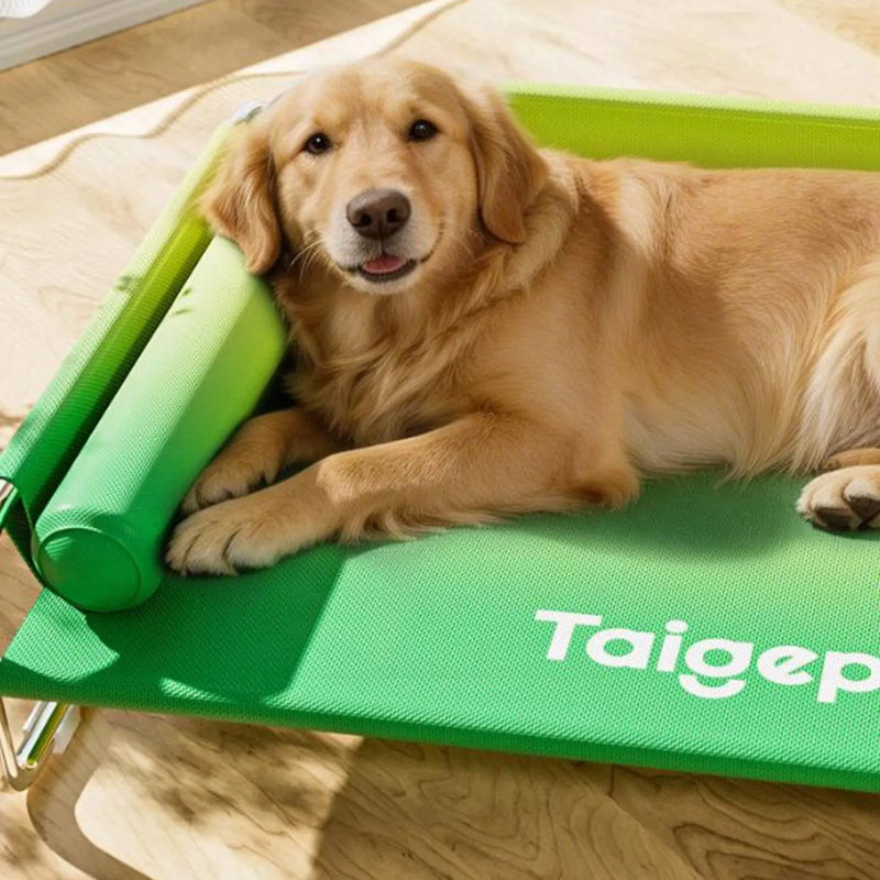 Stainless Steel Dog Bed Long-Lasting Elevated Dog Bed Pet Furniture Cooling Easy to Clean for Large Dogs