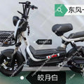 2025 New Electric Bicycle Hot Selling Chinese Electric Bike Adults Shipping Through Sea Transportation Channel