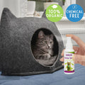 Catnip Spray for Cats,Cat Scratching Spray to Boost Play,Calm Stress & Renew Toys,Transparent Cat & Kitten Behaviour Spray 60 ml