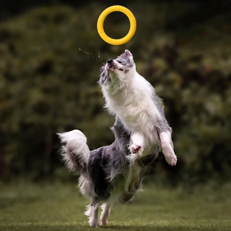 EVA Dog Flying Disc Waterproof Floating Design Chew Resistant Interactive Tug Ring Outdoor Training Fitness Pet Toy