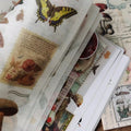 20 - page retro sticker book featuring a series of plants - View 6 | SAMAG
