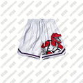 2026 New Men's Dinosaur Graphic Mesh Basketball Shorts Quick-Drying Training Running Casual Loose Five-Point Shorts