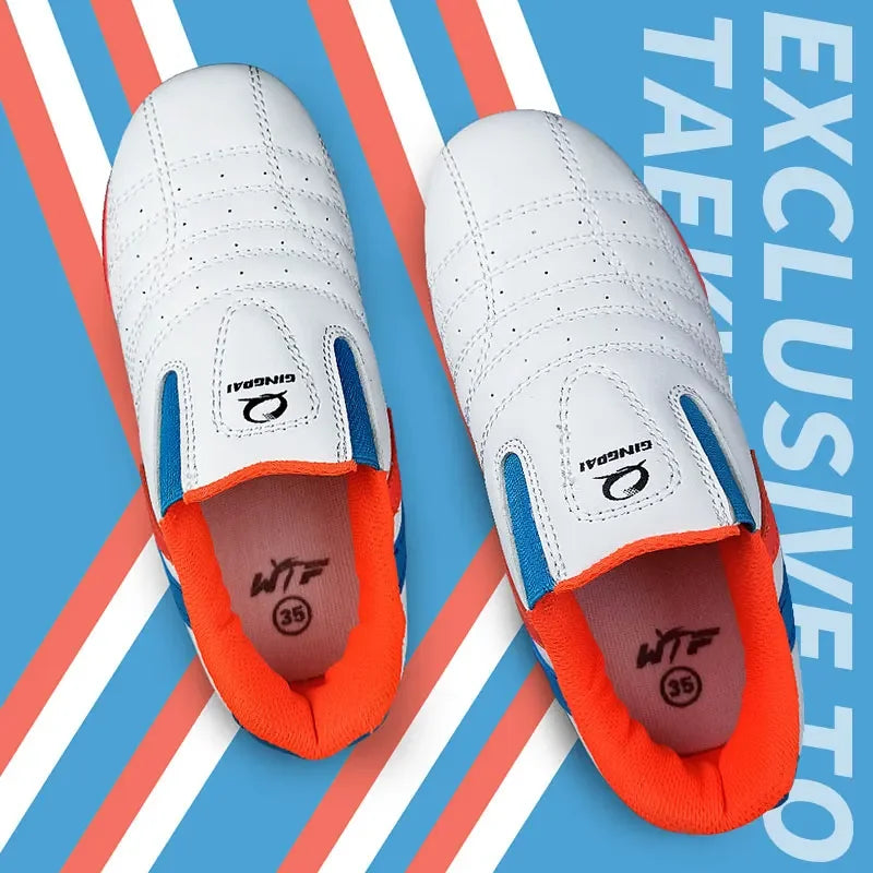 Chinese Wushu Shoes Tai Chi PU Leather Kungfu Taiji | SAMAG