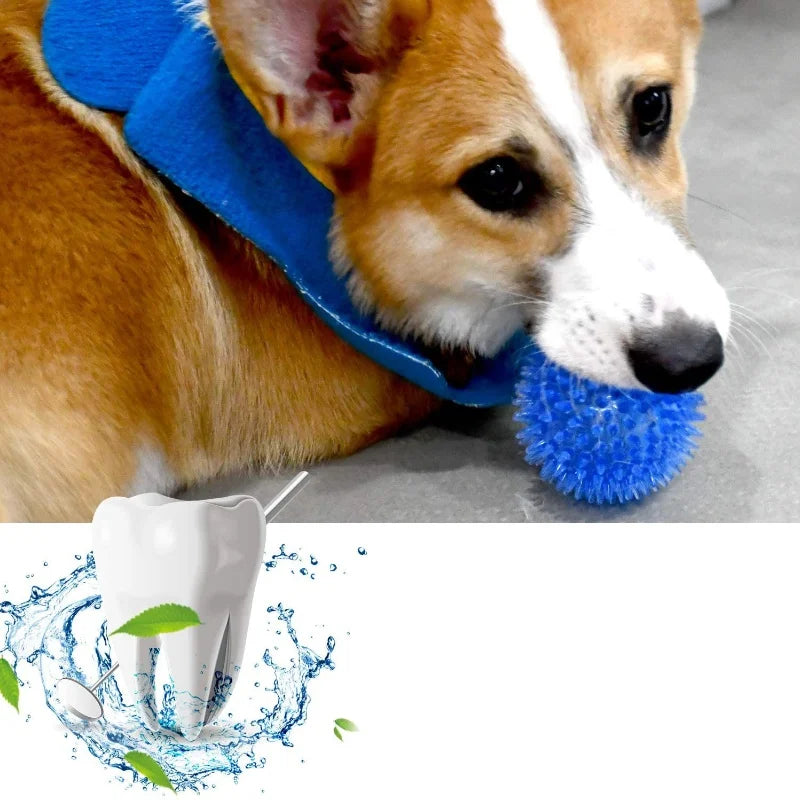 Pet Toy Ball for Cats And Dogs - Sounding Tooth Cleaning Chew Ball Training Teeth Accessories Thornless Chewing Toy for Puppy