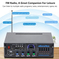 High Power Amplifier 2.0 Channel Audio Home Theater Amplifiers DC 12V 110V/220V Support FM SD USB Dual Mic Bluetooth Remote