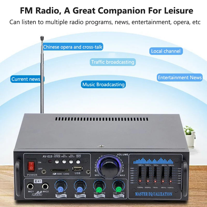 High Power Amplifier 2.0 Channel Audio Home Theater Amplifiers DC 12V 110V/220V Support FM SD USB Dual Mic Bluetooth Remote