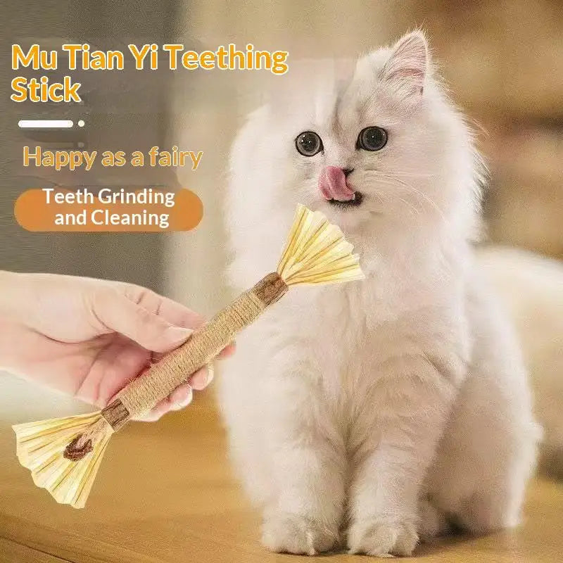 NEW 1/2PCS Cat Toys Made Of Wood Knotweed Teething Sticks Insect Galls Raffia Sisal Rope Teeth Cleaning Toys Cat Teasing Sticks