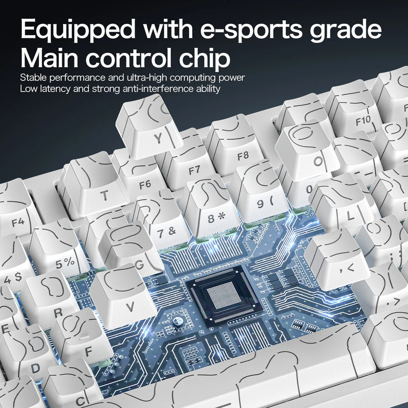 R82HE ATTACK SHARK High Performance E-sports Magnetic Switch Keyboard 8K Zero Dead Zone Adjustable RGB Lighting Web Driver Wired