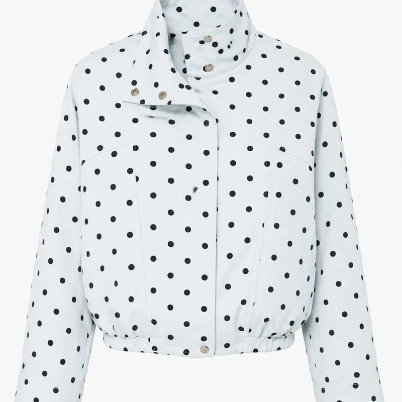 Laru Women Polka Dot 2 Piece Outfit Stand Collar Crop Jacket Side Zipper Wide Leg Pants Spring Casual Matching Tracksuit Set