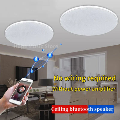 Home Theater Ceiling Speakers 30W High Power Host | SAMAG