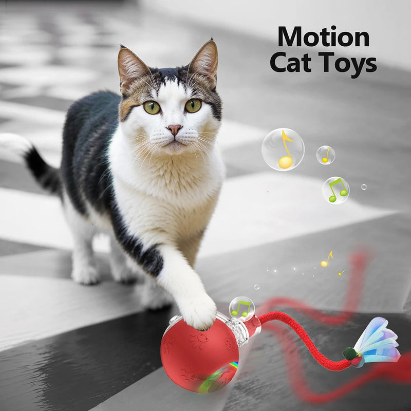 Interactive Cat Toy Ball Motion Activated Self Rotating Ball Fast Rolling Ball Anti-Depression Pet Toy for Indoor Cat Kitten