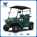 48V Electric Golf Cart 2 Seater 5KW Motor Independent Suspension Disc Brake Utility Vehicle 90km Range