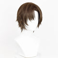 Brown Short Straight Synthetic Wig Middle Part Fluffy Anime Game Cosplay Heat Resistant Wig for Daily Party
