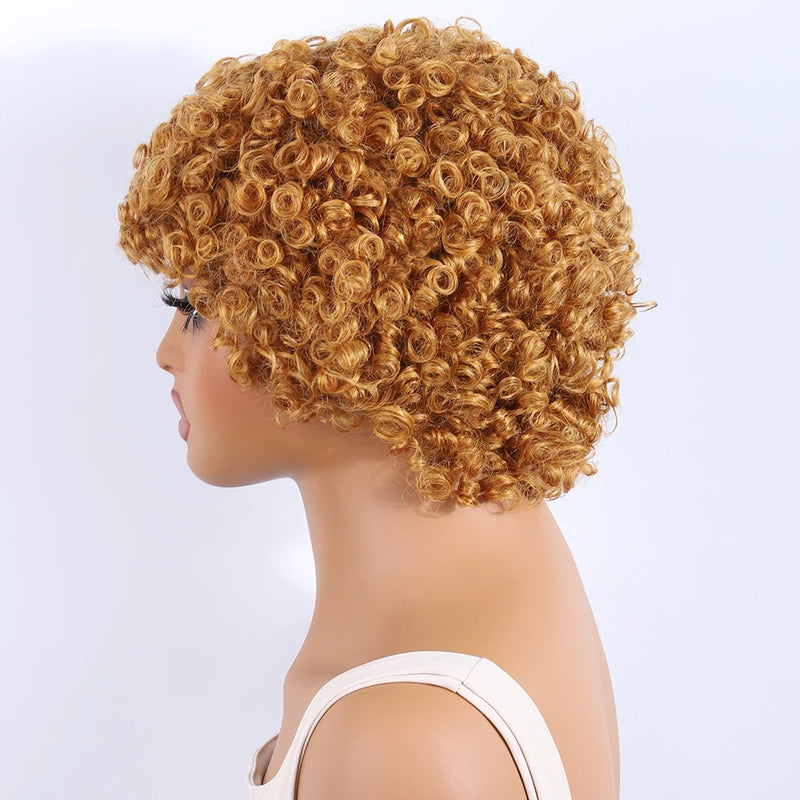 Lekker Black Short Pixie Cut Curly Bob 100% Human Hair Wigs For Women Brazilian Remy Hair Full Machine Made Glueless Daily Wigs