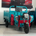 Electric Cargo Tricycle 1000W Motor Farm Agricultural Vehicle Three Wheeler Cargo Box Steel Frame