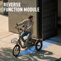 Electric Tricycle 750W Motor 48V 20AH Remover lithium Battery Foldable 3 Wheel Electric Bike 16 Inch Fat Tire 100km Ebike
