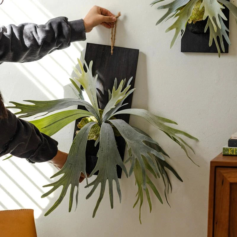 Artificial Tropical Plant Wall Hanging Decoration Antler Fern Green Plant Landscape Display Furnishings Home Decor, Wooden Frame