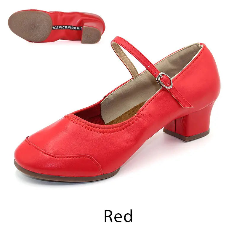 Dance Shoes Women Low-heeled Square Dancing Shoes Latin Salsa Dance Shoe Soft Sole Outdoor Dance Sneakers Spring Size 34-42