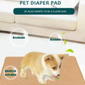Winter Dog Pee Pad Reusable Washable Dog Urine Mat Car Seat Floor Sofa Waterproof Absorbent Puppy Cat Training Pet Supplies