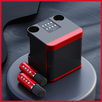 Karaoke Audio Machine Speaker System With 2 Microphones | SAMAG