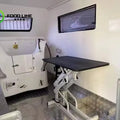 Dog Grooming Tub in the Trailer Integrated Stainless Steel Bathing Station in Mobile Pet Grooming Unit