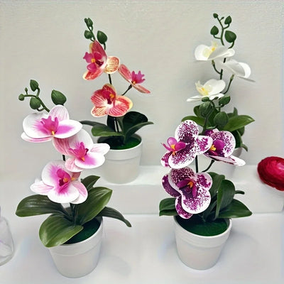 Artificial orchid, home/office decoration - display | SAMAG