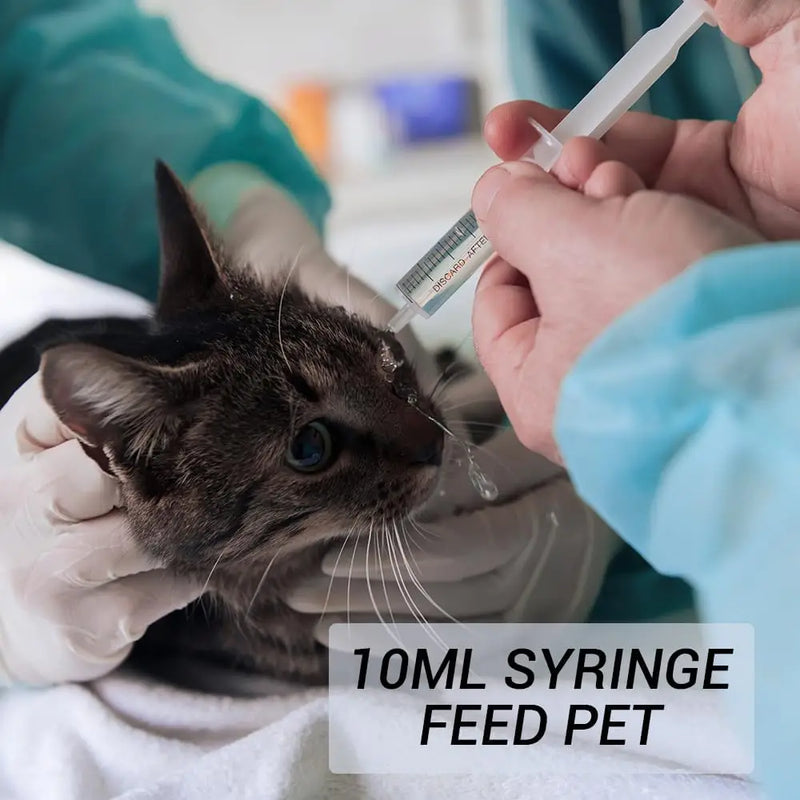 10ml Plastic Syringes Are Suitable for Partying, Measuring, Watering, Refilling, and Feeding Pets