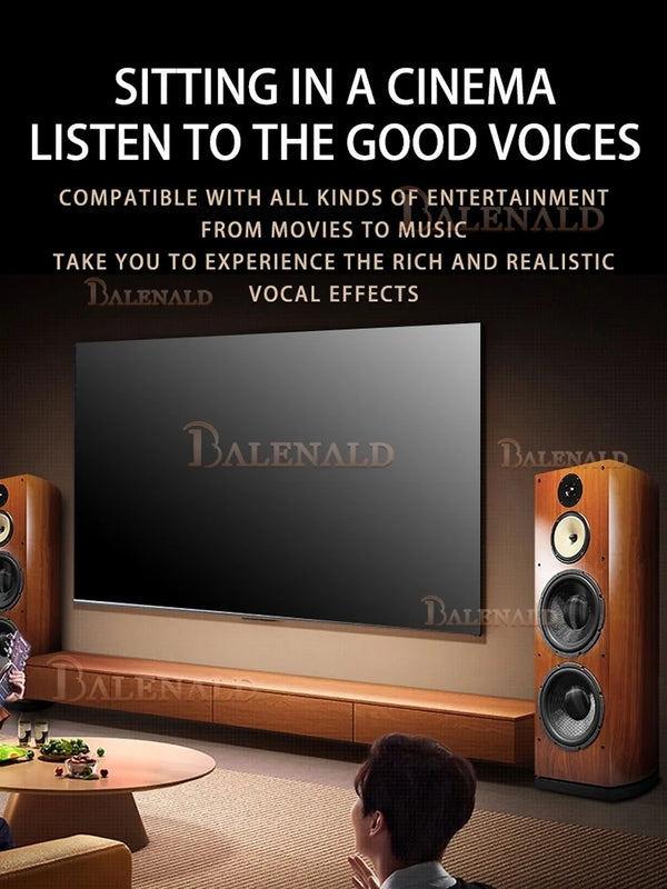 Balenald home theater system BA-12 dual 12-inch bass fever-grade hifi floor-standing three-way speaker audio home