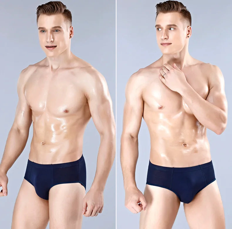 Top Qaulity ! Men Briefs Underwear Underpant Bamboo Fiber Brief 5pcs/lot  Free Shipping
