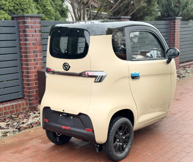 2025 Electric Tricycle Car L6e Two Seat Eec 3 Wheeler 1500w 45km/h Cabin Scooter
