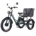 Fat Tire Electric Tricycle Adults With Passengers Powerful 48V 750W Family Electric Bicycle Removable Battery With Safe Belt