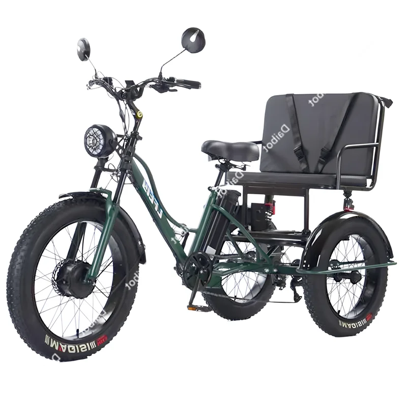 Fat Tire Electric Tricycle Adults With Passengers Powerful 48V 750W Family Electric Bicycle Removable Battery With Safe Belt