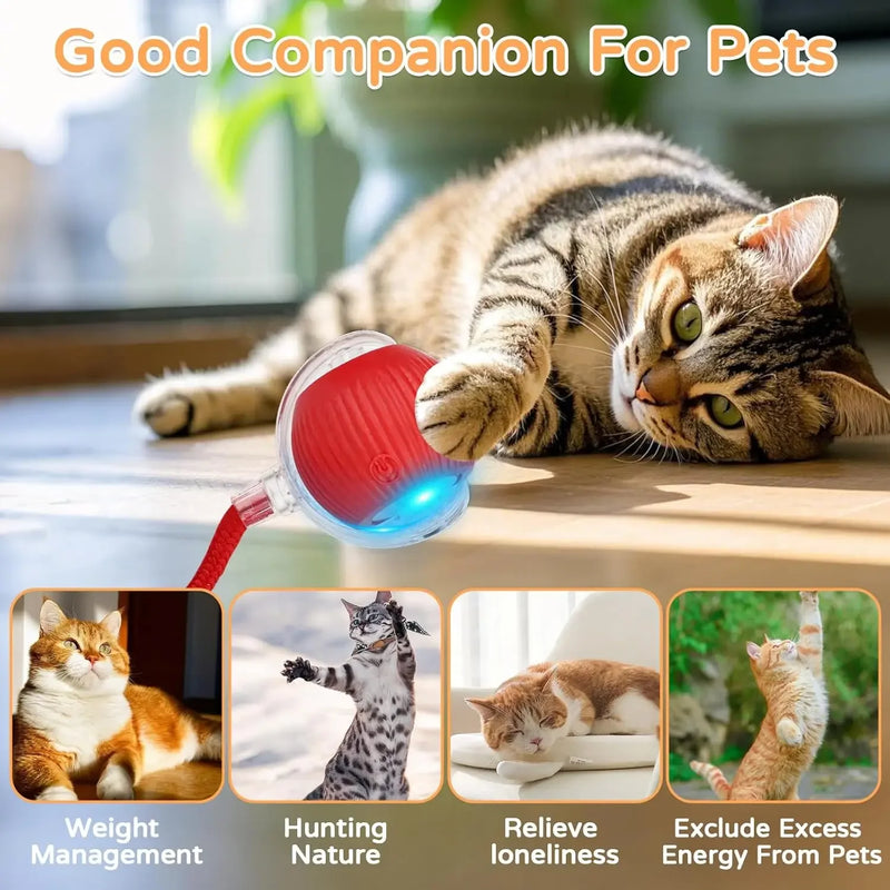 New Cat Interactive Ball Toy Automatic Rolling Ball Faux Tail Rechargeable Smart Pet Electric Toy Dog Cat Training Imitate Mouse