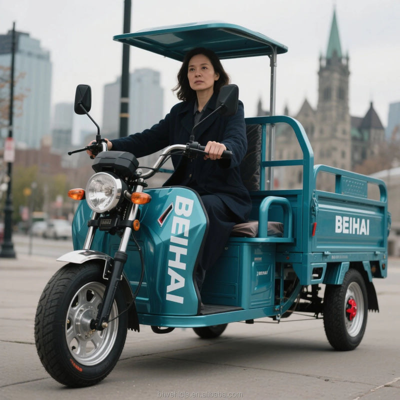 Good Price Electric Tricycle for Cargo Durable Agriculture Transport