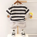 0 - 5 Years Old Baby Cotton Clothes Suits Fashion Summer - View 2 | SAMAG