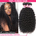 UNice Hair Curly Bundles 100% Human Hair Bundles 8-26 Inch Natural Color Virgin Human Hair 1/3Pcs Bundles