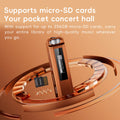 FiiO ECHO NANO Retro Music Player, Pocket-Sized HiFi MP3 Player with OLED Display, USB DAC, Lossless Audio