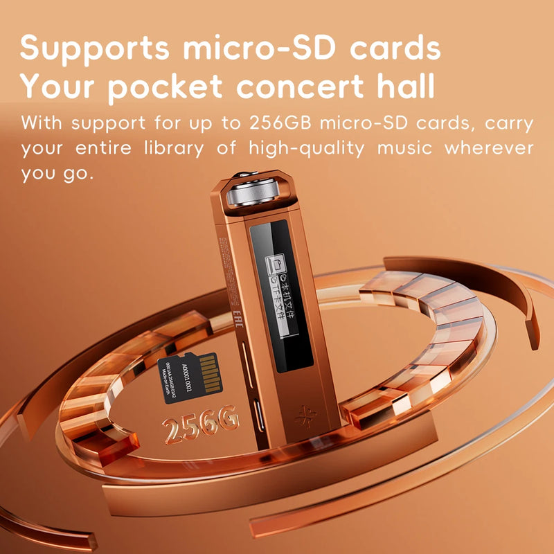 FiiO ECHO NANO Retro Music Player, Pocket-Sized HiFi MP3 Player with OLED Display, USB DAC, Lossless Audio