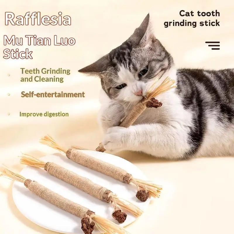 NEW 1/2PCS Cat Toys Made Of Wood Knotweed Teething Sticks Insect Galls Raffia Sisal Rope Teeth Cleaning Toys Cat Teasing Sticks