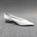 Shoes for Woman Comfortable Women's Summer Footwear Moccasins Blue Low Heel Elegant Pointed Toe High Quality Popular Heels