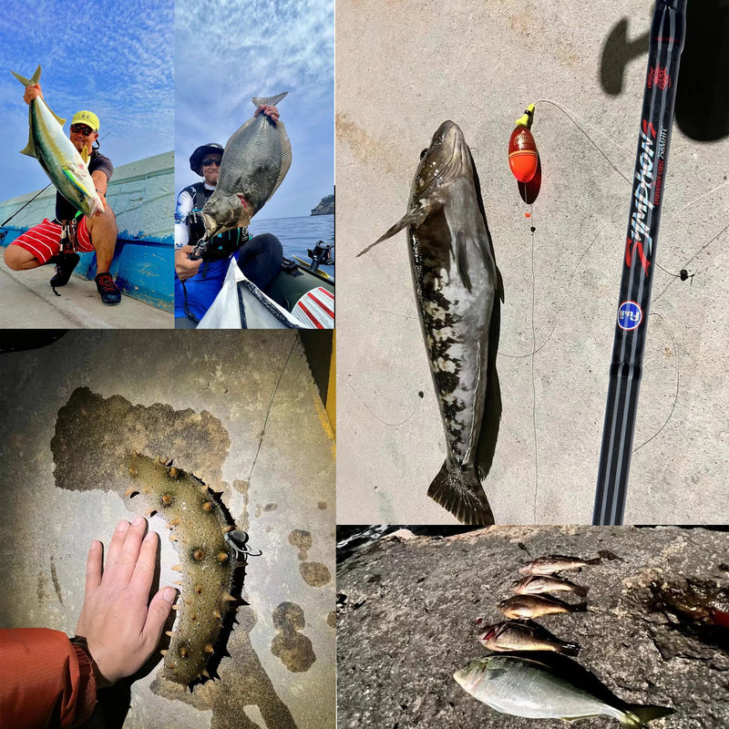 BIUTIFU Carbon Fishing Rod for Travelers - Fuji Lure | SAMAG