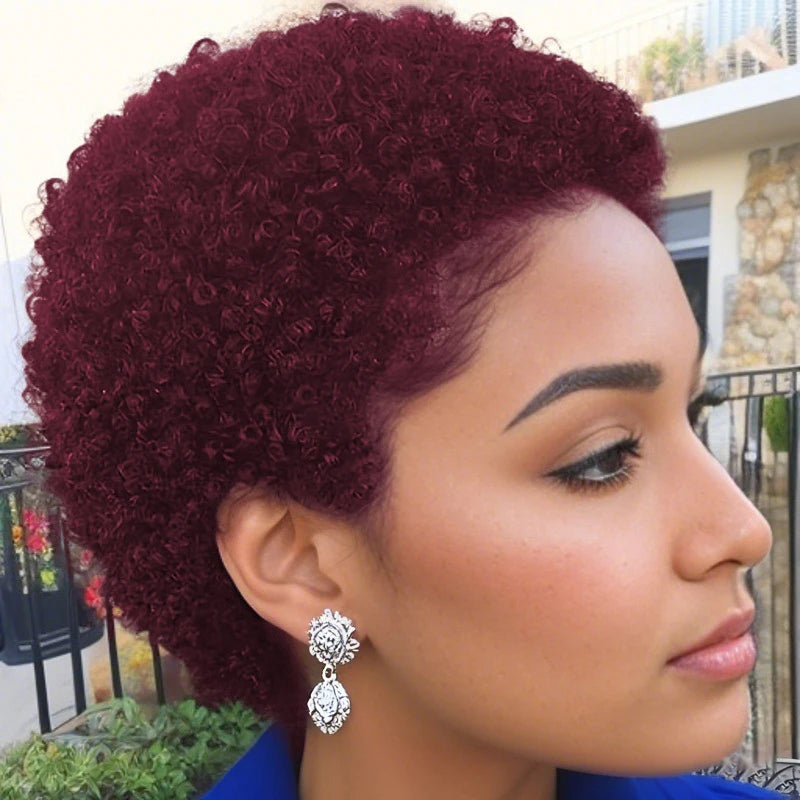 Pixie Cut Wig Wig Human Hair Wig Short Afro Kinky Curly Wigs For Women Full Machine Made Wig