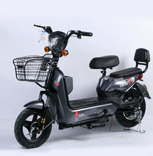 Electric bicycle two-wheel electric bike new national standard adult electric scooter wholesale manufacturer