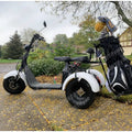 Golf Smart Waterproof Foldable Electric Three-Wheel Golf Scooter with Brushless Motor and LED Lighting