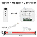 Customized Smart 25mm Curtain Motor Electric Roller Blinds Shutter Tubular Motor 38mm Tube Tuya Wifi Curtain Switch Moudle Alexa