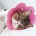 Pets Protective Collar EVA Soft Flower Shape Anti-lick Cats Dogs Wound Healing Protection Cover Anti-bite Animal Supplies