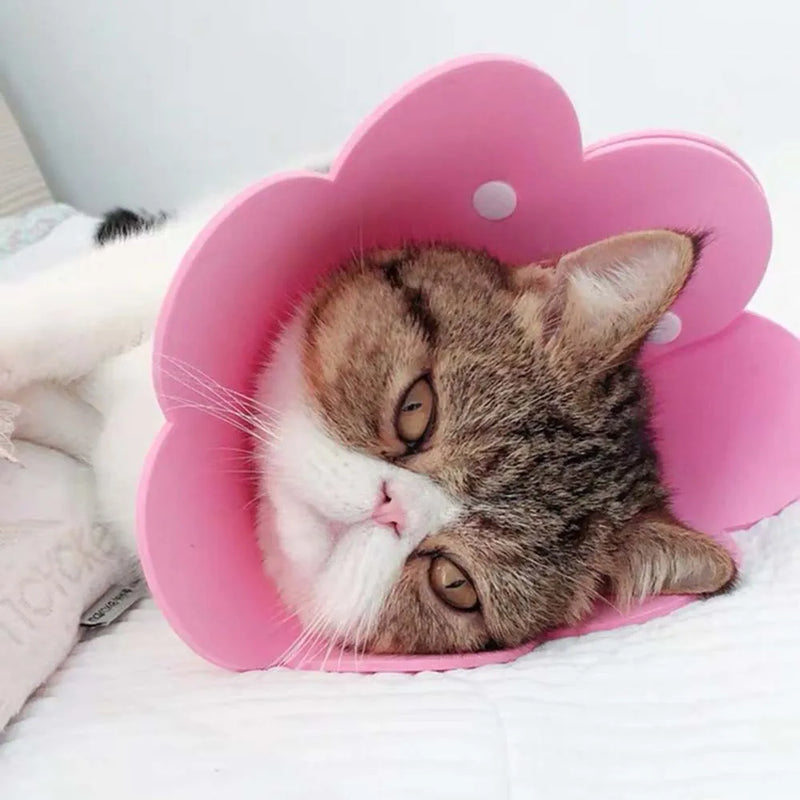 Pets Protective Collar EVA Soft Flower Shape Anti-lick Cats Dogs Wound Healing Protection Cover Anti-bite Animal Supplies