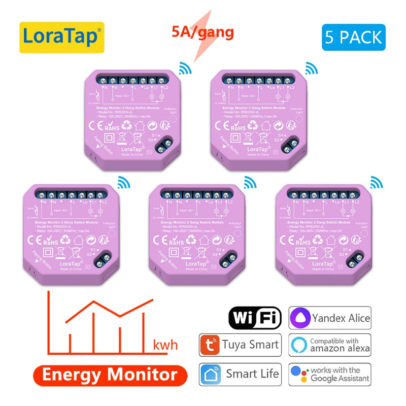 Tuya Smart Life Wifi Switch 2 Gang Relay Breaker Module Google Home Alexa Echo Voice Control Smart Lighting Timer Switch DIY