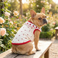 Fashion Ruffled Collar Cat Strawberry Vest Cherry Pattern Breathable Pet T-shirt Soft Thin Dogs Short Sleeve Daily Use