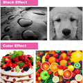 746 747 Pigment Ink Compatible Color Inkjet Ink Cartridge P2V82A P2V83A P2V80A  for HP746 for HP DesignJet Z6 Z9 Z9+ Printer